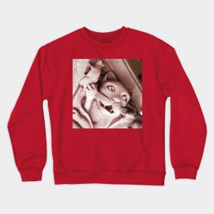 Cat and Mouse in an Old Church Crewneck Sweatshirt